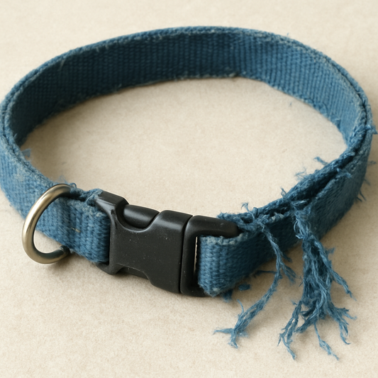 Why Cheap Collars Don’t Last—And What to Look for Instead - Rough Ranch