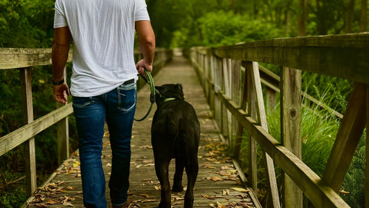 Get Moving with Your Pup: Why Walking Together is the Best Workout
