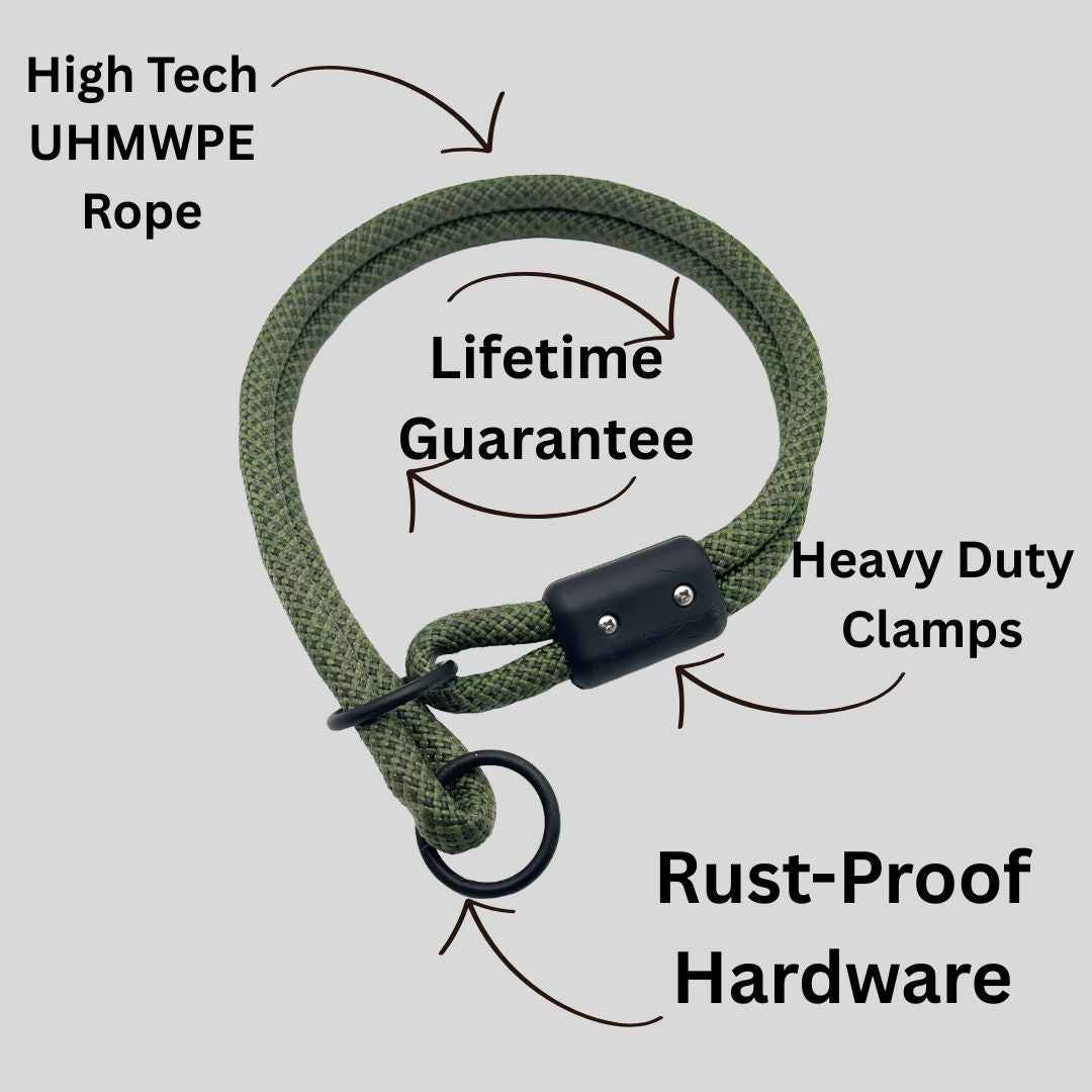 Trainer Kit - Hayfield