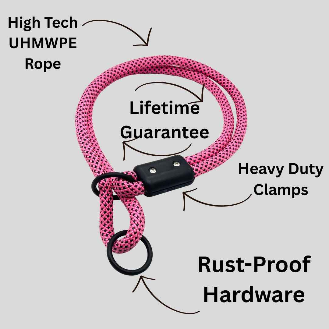 Trainer Kit - Hunter's Sunrise