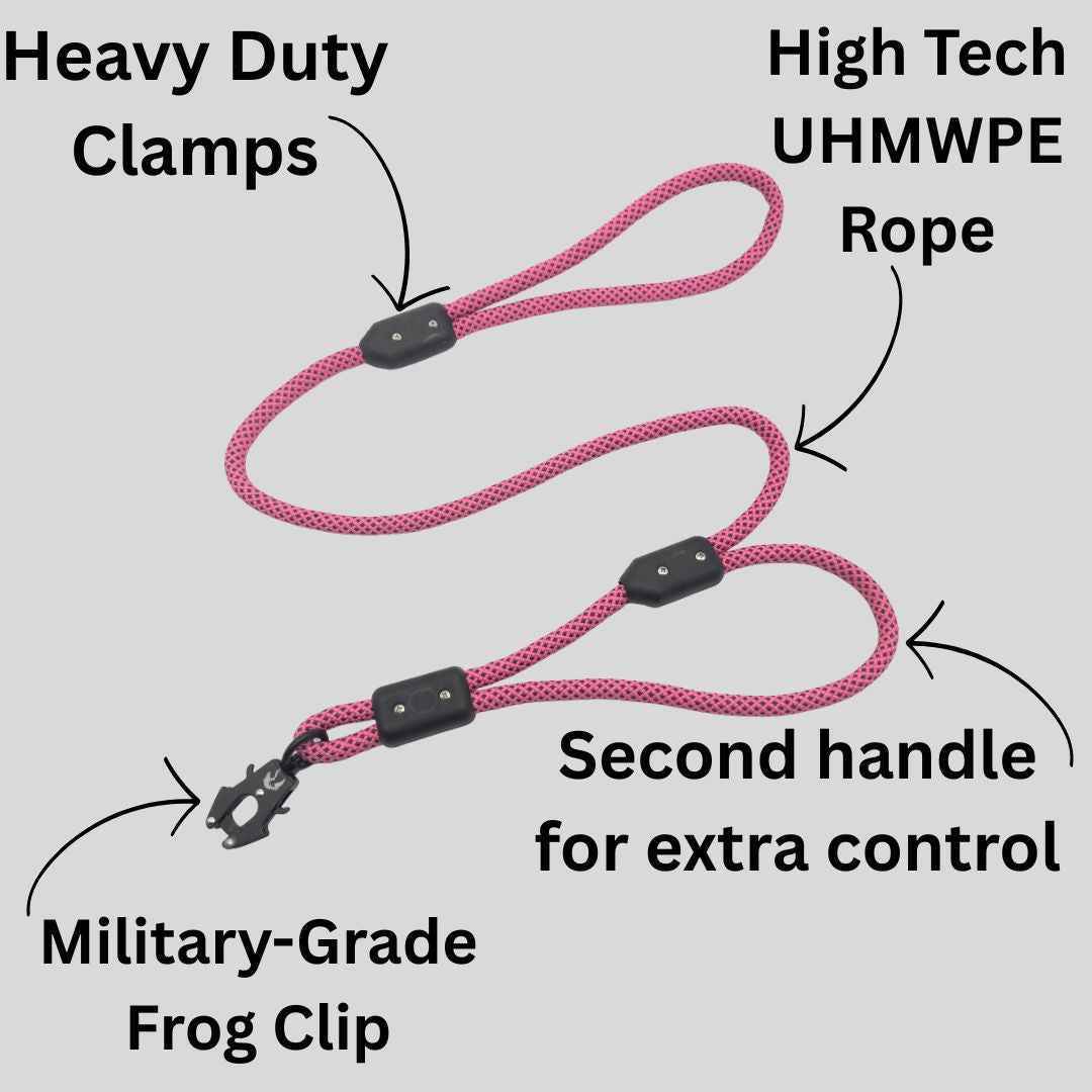 Trainer Kit - Hunter's Sunrise