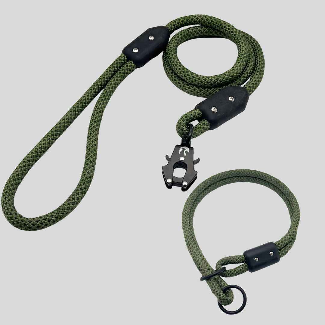 Trainer Kit - Hayfield