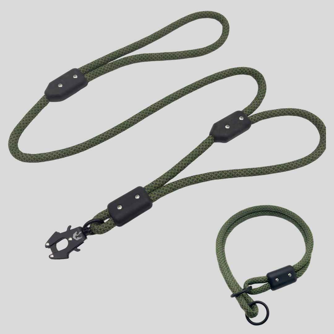 Trainer Kit - Hayfield