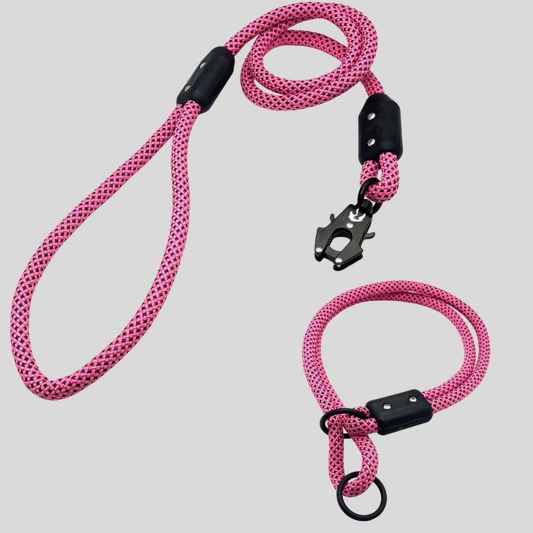 Trainer Kit - Hunter's Sunrise