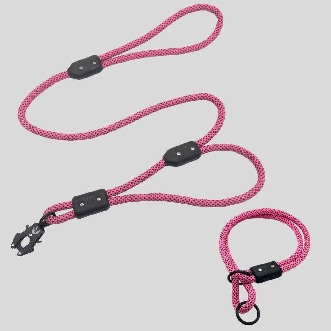 Trainer Kit - Hunter's Sunrise